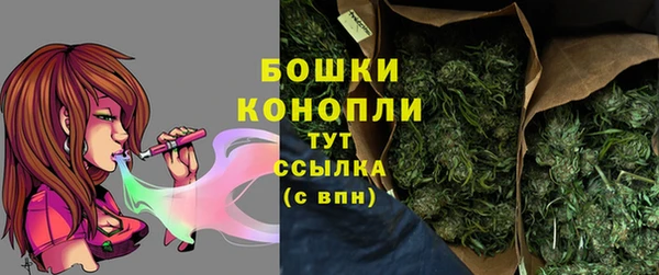 прущий лед Абаза