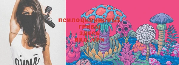прущий лед Абаза