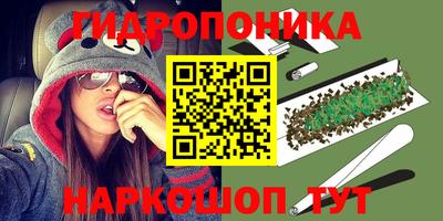 прущие крисы Краснознаменск