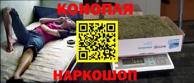 шишки Краснодар