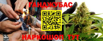 шишки Краснодар